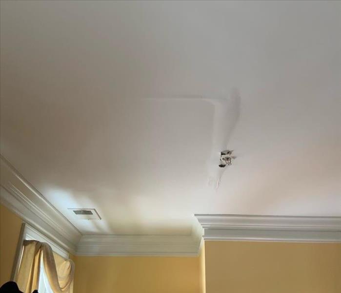 Ceiling with crown molding and paint bubble on a white ceiling