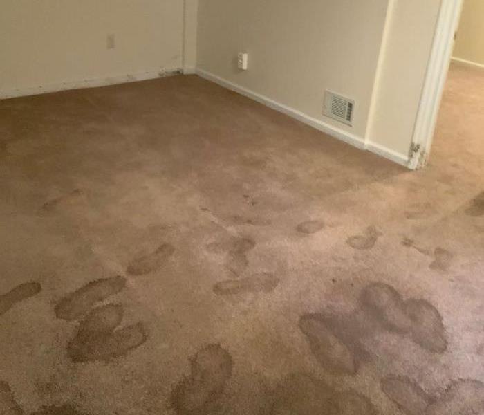 Basement with footprints in wet carpet