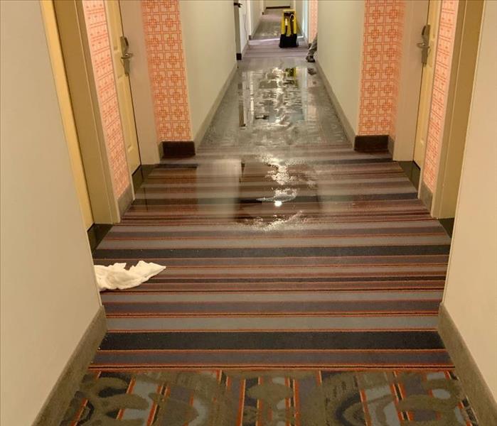 Commercial hallway with standing water on the carpet