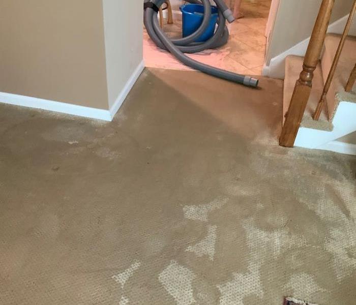 Wet gray carpet at the bottom of a staircase