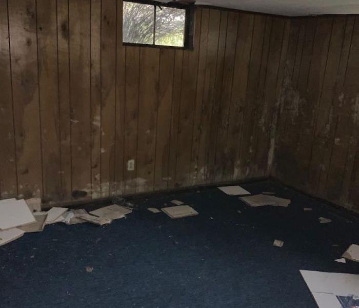 Basement with wood paneling and blue carpet with debris