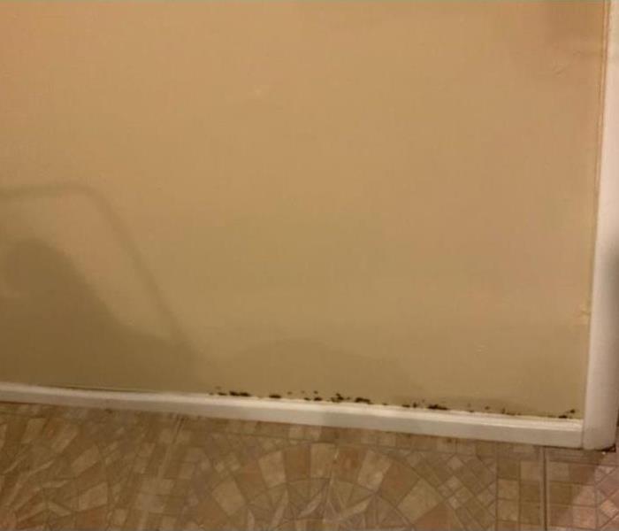 View of wall and baseboard with mold damage