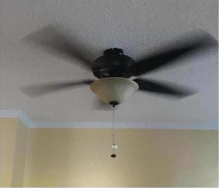 A ceiling fan in rotation on a ceiling. 