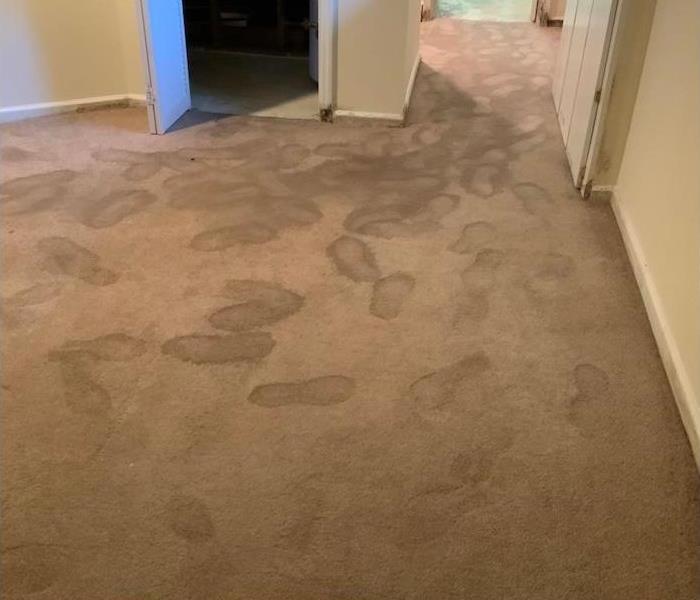 Beige carpet with footprints on wet carpet