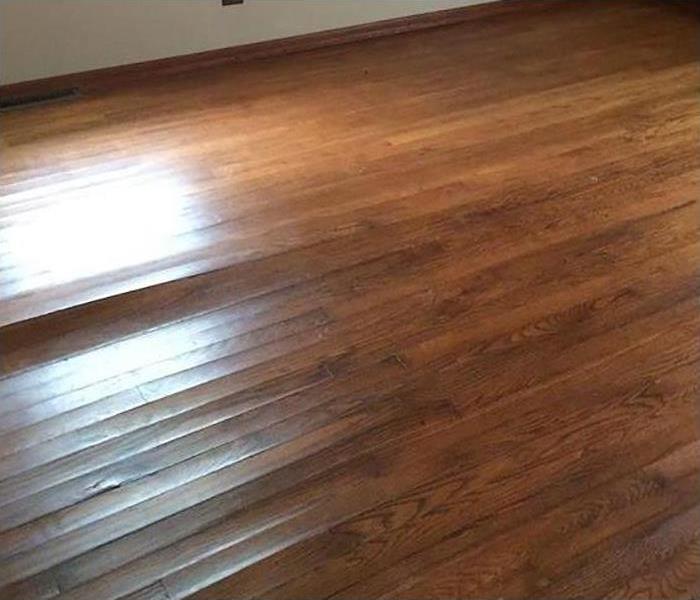 Buckling hardwood floor. 