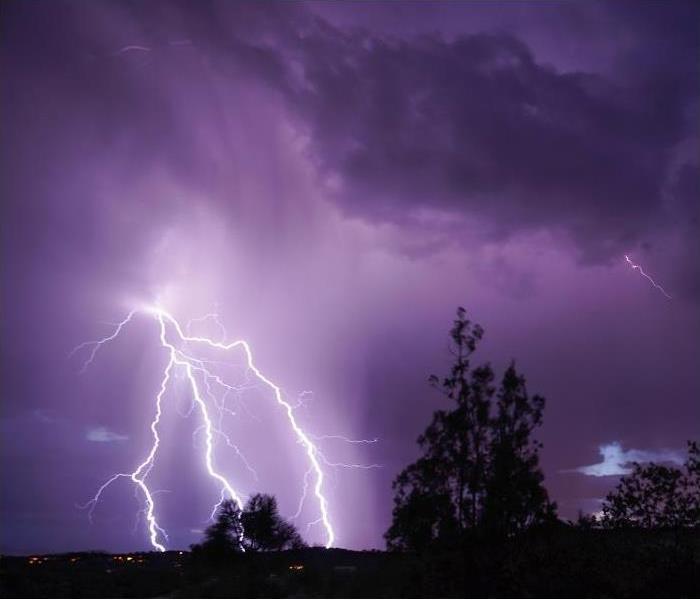 lightning strikes in night sky; trees in foreground