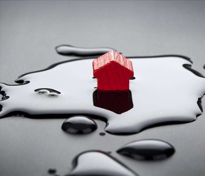Toy home in water puddle