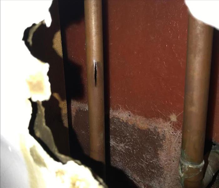 Damaged Pipe in Wall