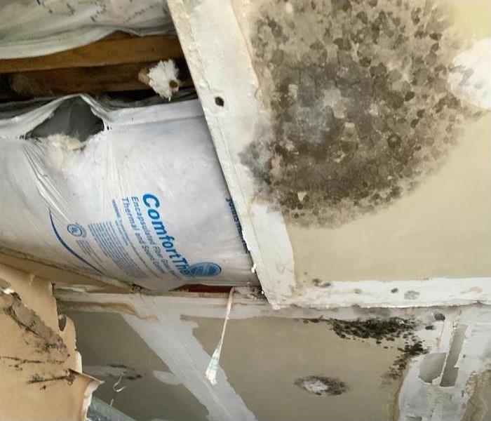 mold damage on a ceiling