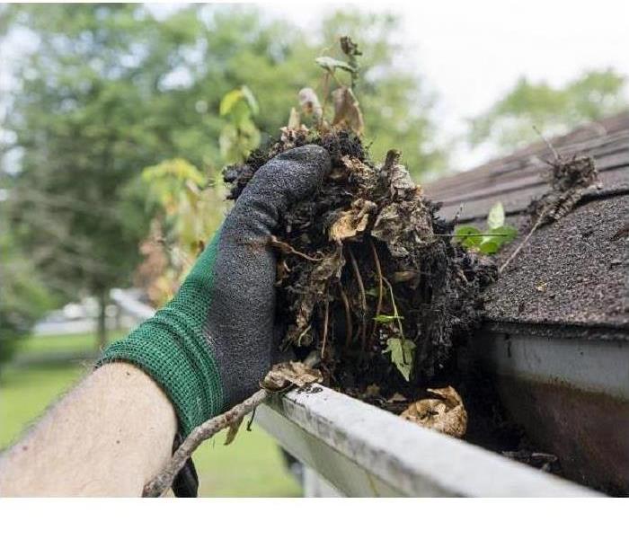 Storm Gutter Debris Clutter