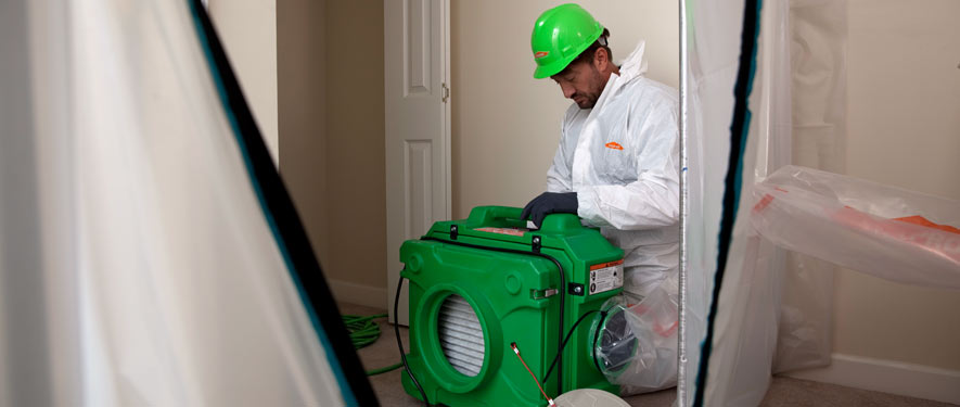 Bridgewater, NJ mold cleanup